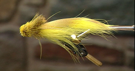 Fly Tying Video